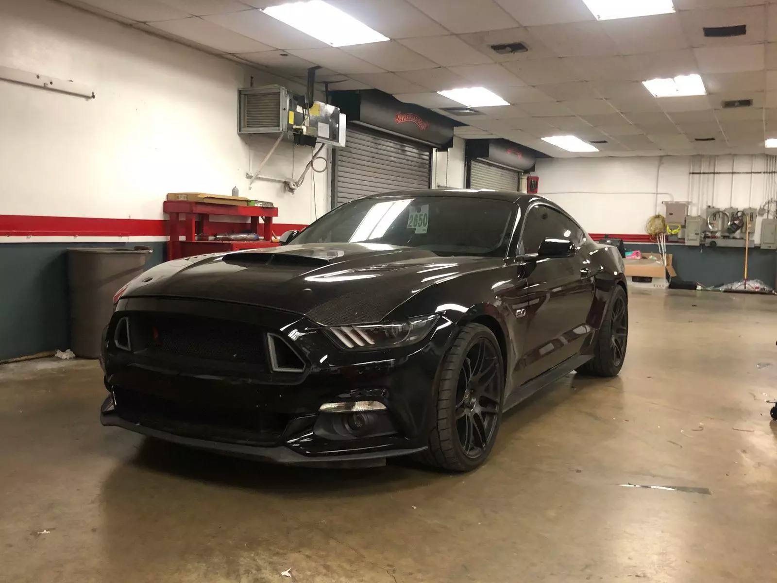 black mustang in bay
