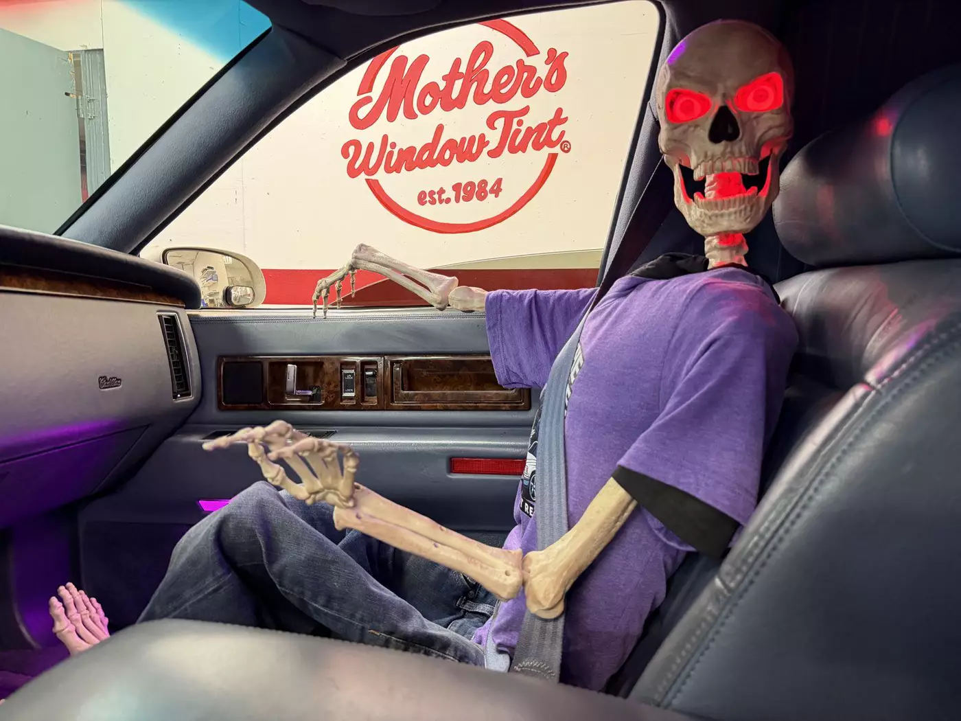 skeleton in the hearse