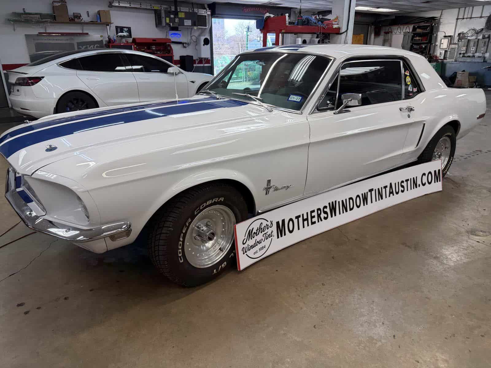 white mustang in bay