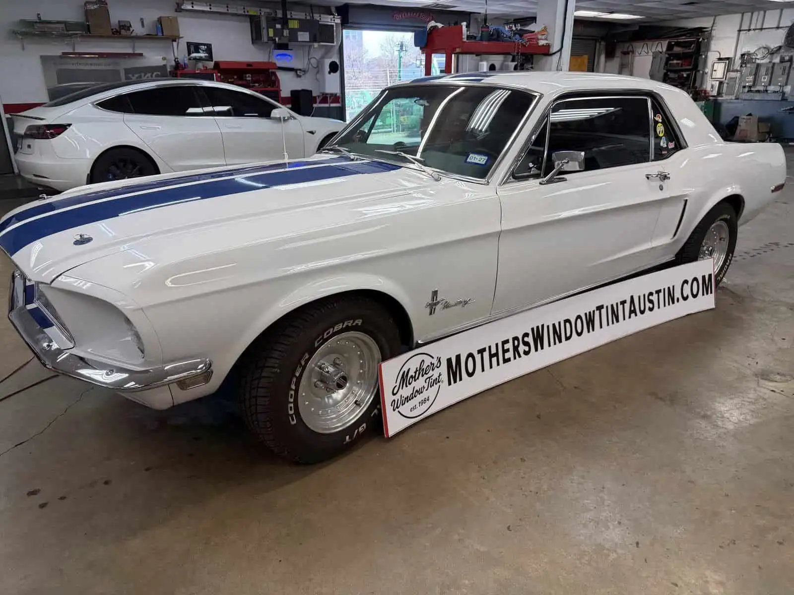 white mustang in bay