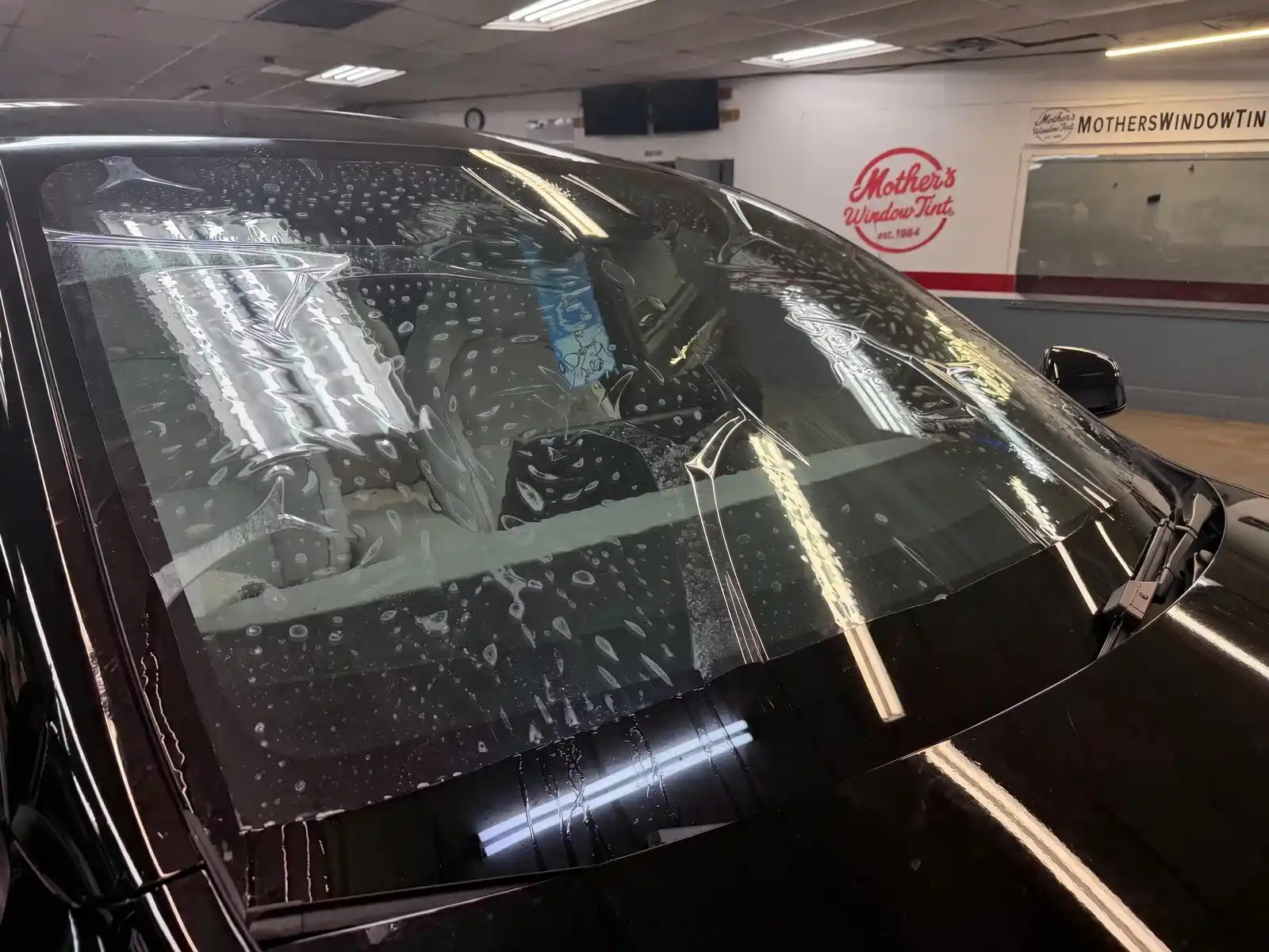 windshield 2